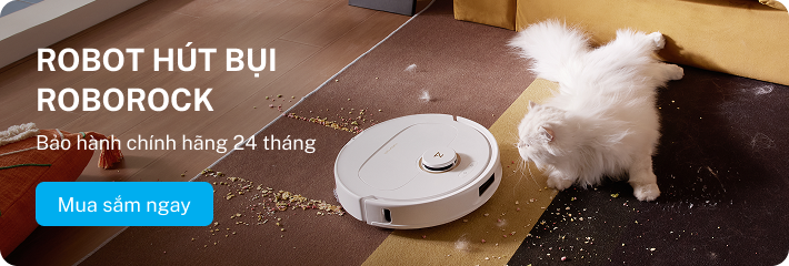 Trang chủ 313 Trang chủ