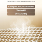 Máy Massage Chườm Nóng Bụng Và Thắt Lưng Breo Y2 | Chườm Ấm Hồng Ngoại – Đa Năng Hỗ Trợ Giảm Đau Lưng | Bảo hành 12 Tháng